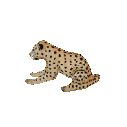 Edited cheetah